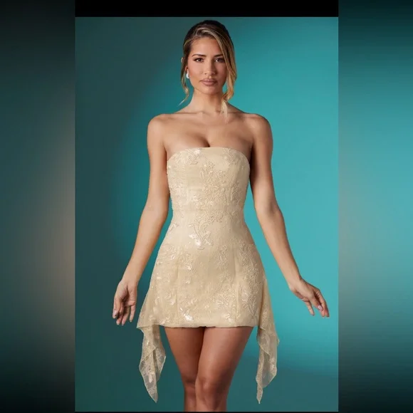 motel rocks lace dress Lace Black Mini Dress main image 0